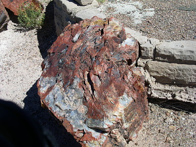 [A close view of one hunk of rock that still seems to have some of the rings from when it was wood. The rock is mostly brown, but there are some light grey sections stuck in it.]